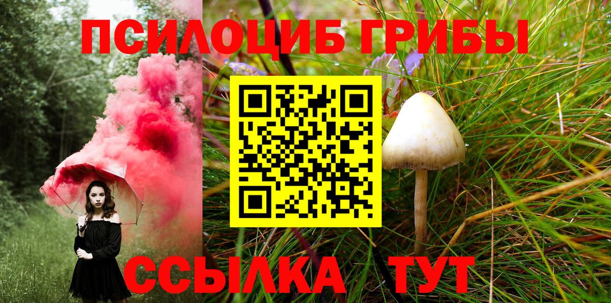 Галлюциногенные грибы Psilocybe  Вход с VPN  Уссурийск 