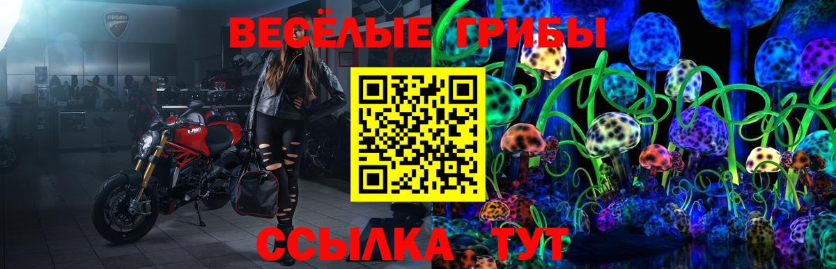 Псилоцибиновые грибы Psilocybe Уссурийск